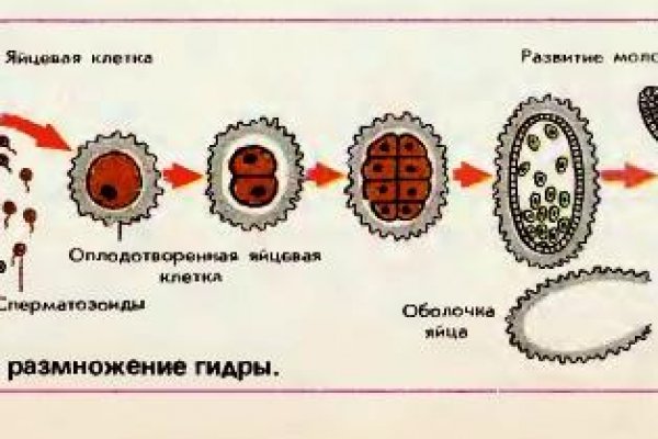 Кракен это сайт что продают